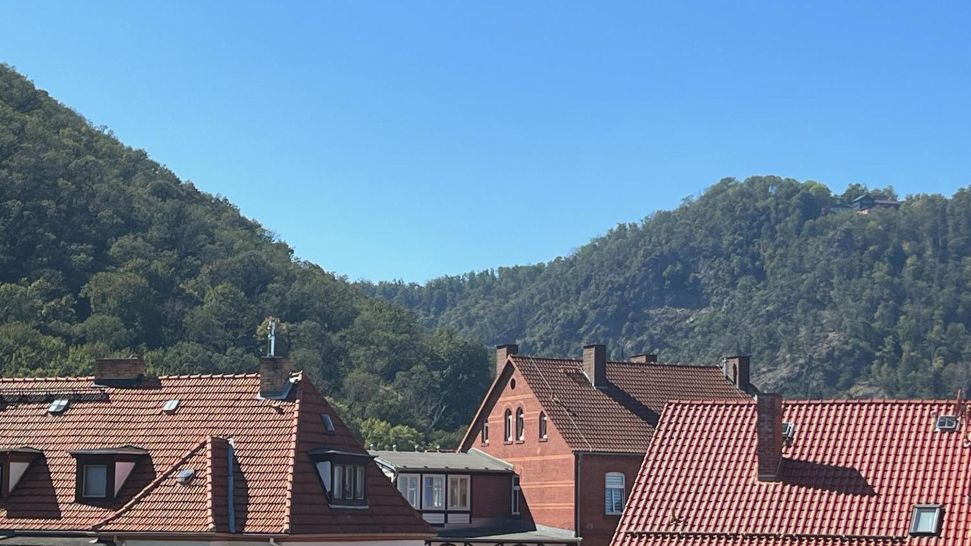 Rosstrappenblick Apartamento Thale Exterior foto